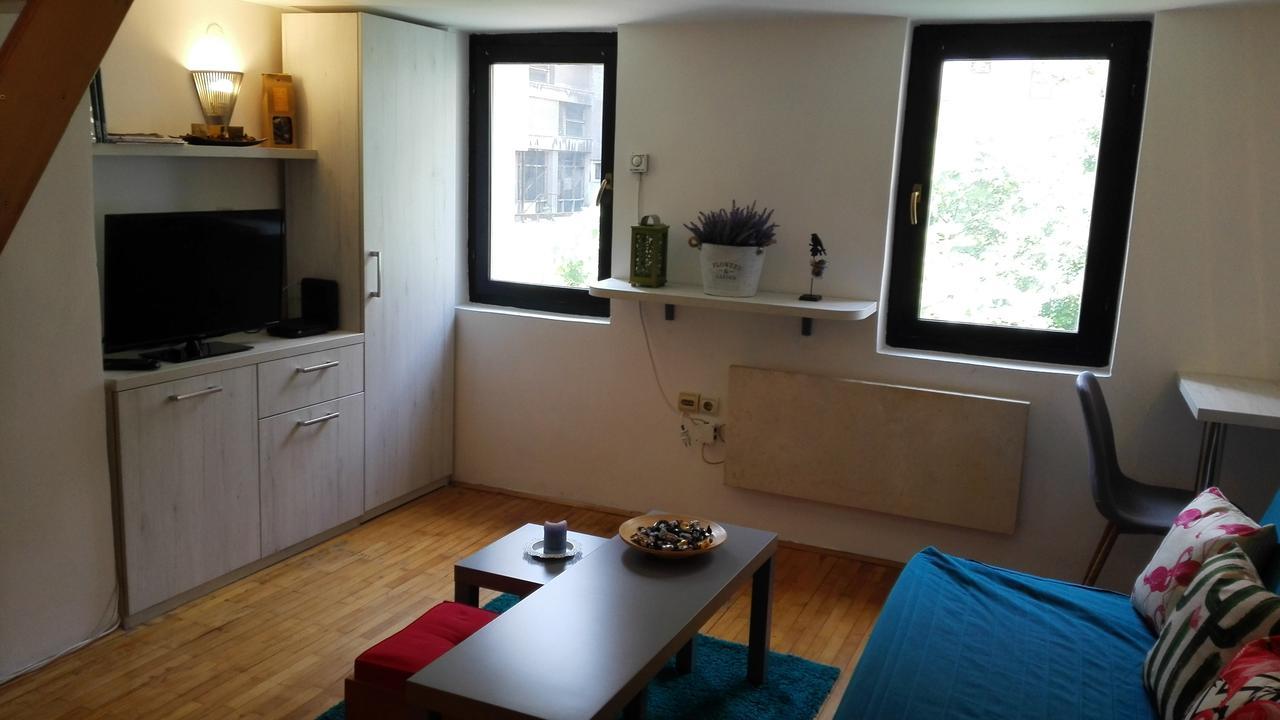 بلغراد Cozy Apartment المظهر الخارجي الصورة